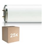 Fordelspakning 25x Philips TL-DK 36W - Blacklight | 60cm - Insectkiller