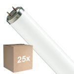 Fordelspakning 25x Philips T8 Flexo print 40W | 60cm - UVA