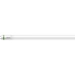 Philips MASTER LED Tube T8 (EM/Mains) Ultra Efficiency 17.6W 3700lm - 865 Daglys | 150cm - Erstatter 58W