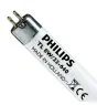 Philips T5 Short 8W - 640 kald hvit | 29cm