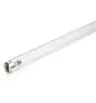 Philips T8 UV - C 25W - Ultrafiolett | 44cm