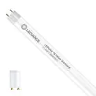 Ledvance LED Lysrør T8 Value (EM/Mains) Standard Output 11.6W 1400lm - 865 daglys | 105cm - erstatter 38W