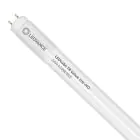Ledvance LED Lysrør T8 Value (UN) High Output 24W 2800lm - 865 Daglys | 150cm - Erstatter 58W