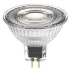 Ledvance Performance LED spot Reflektor GU5.3 MR16 5W 345lm 36D - 940 kald hvit | beste fargegjengivelse - dimbar - erstatter 35W