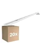 Fordelspakning 20x Noxion lyslister Click LED T8 | Egnet til 2x60cm LED Lysrør