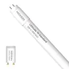 Noxion LED Lysrør T8 Avant (EM/Mains) Standard Output 7.5W 900lm - 840 Kald Hvit | 60cm - Erstatter 18W