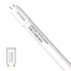 Noxion LED Lysrør T8 Avant (EM/Mains) Standard Output 19W 2300lm - 865 Daglys | 150cm - Erstatter 58W